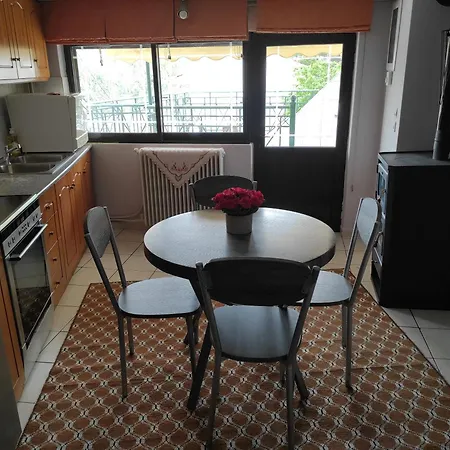 Apartment Orio Cozy -10' από λιμάνι κύμης -10' από μουρτερή Orio (Euboea)