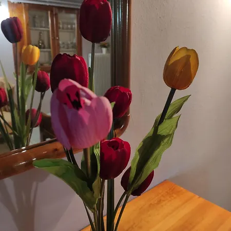 Orio Cozy -10' από λιμάνι κύμης -10' από μουρτερή * Orio (Euboea)