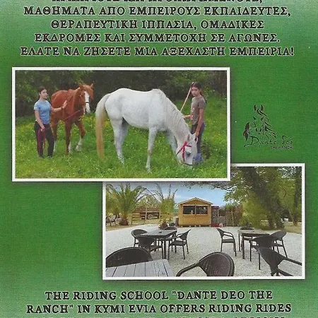 Orio Cozy -10' από λιμάνι κύμης -10' από μουρτερή Apartment Orio (Euboea)